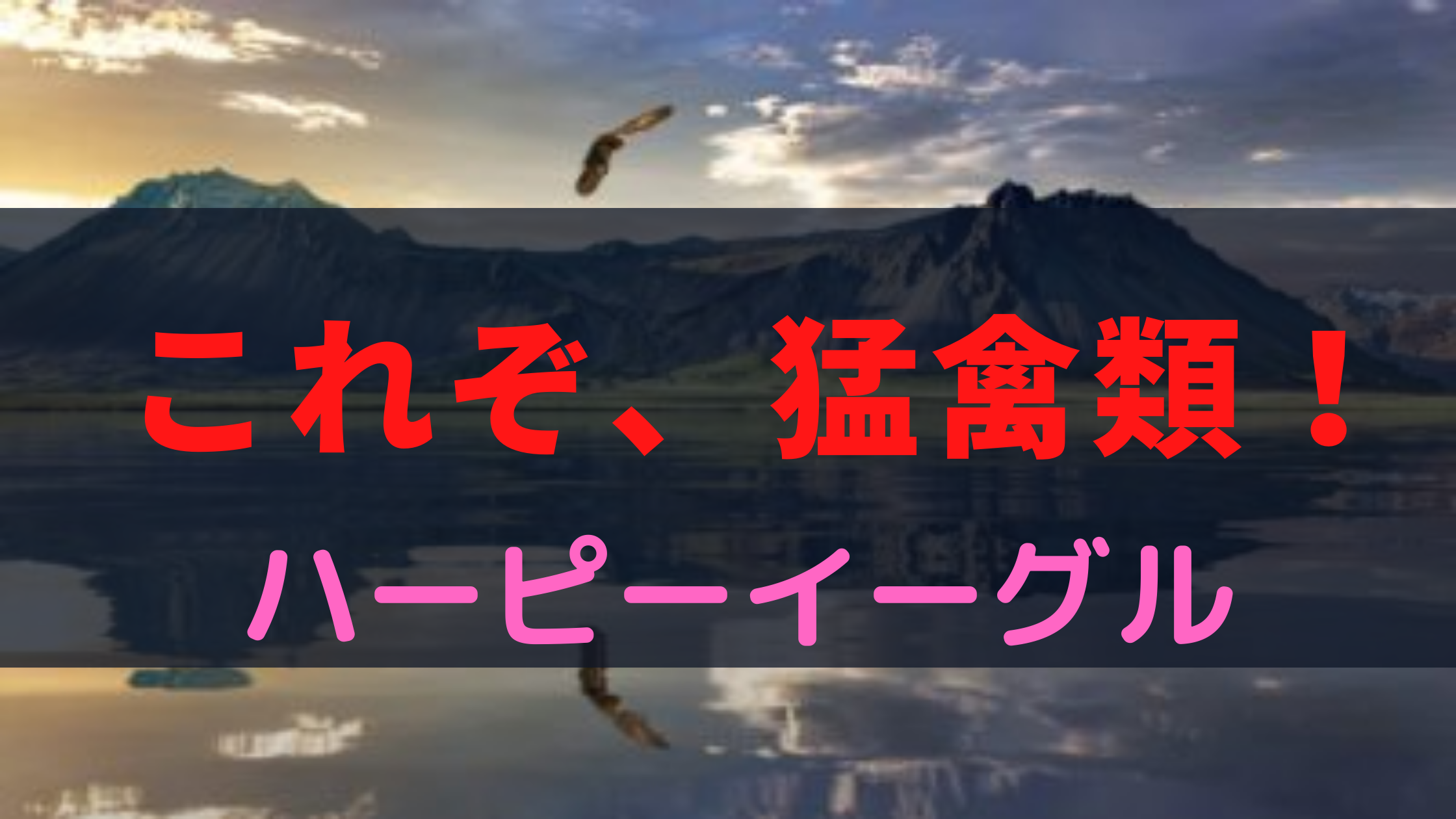 かっこいい 鳥 の 名前 英語 Jennaka