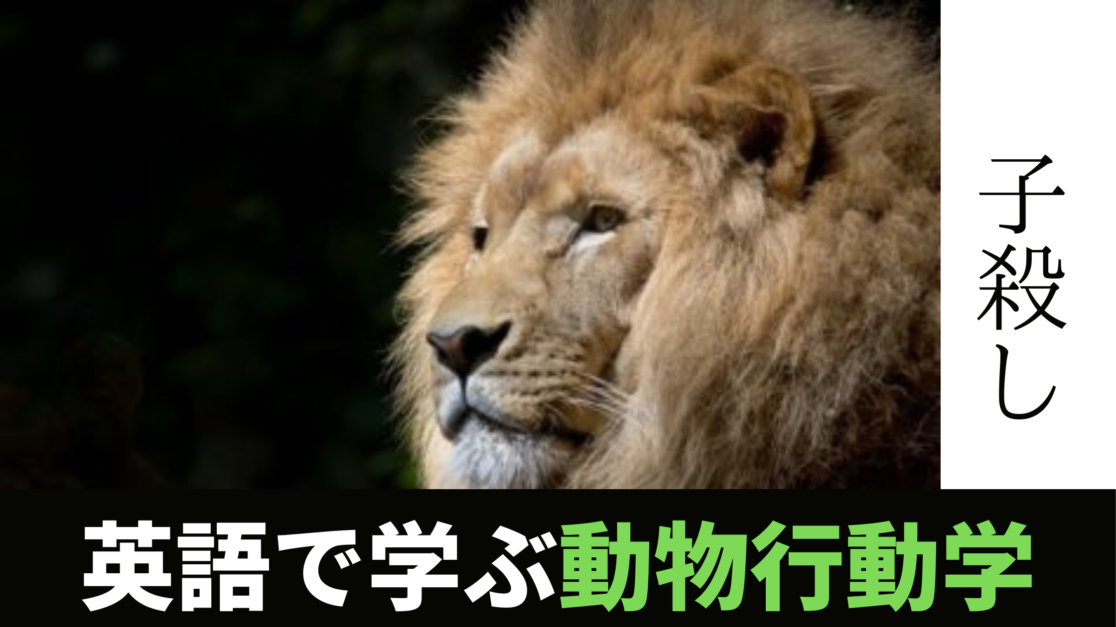 動物行動学 Animal Behavior 動物達の生きる意味と子殺し Infanticide を考える Chapter 1