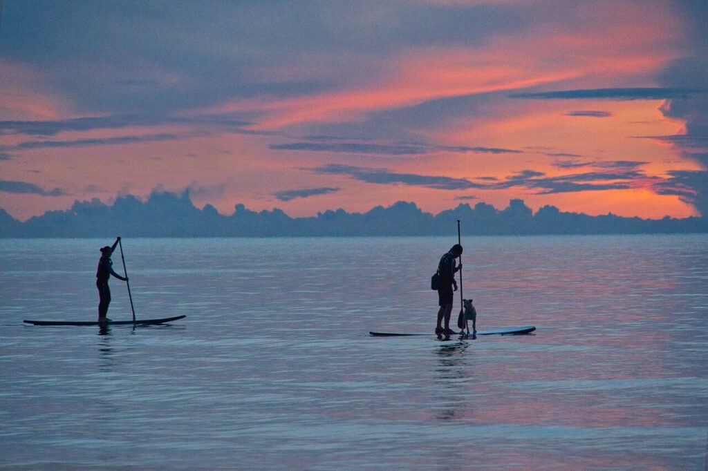 standup paddleboarding, nature, sea, sunset, sup, ocean, twilight, silhouette