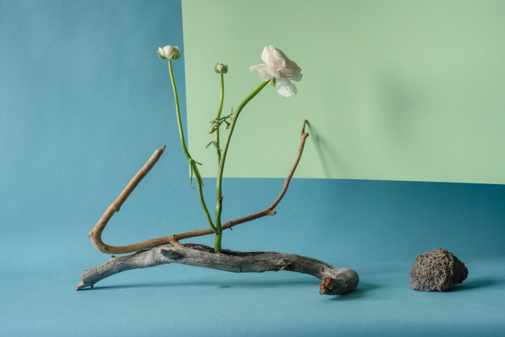 A minimalist arrangement featuring a white flower, driftwood, and stone on a blue and green background.